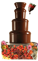 Atlanta Chocolate Fountain